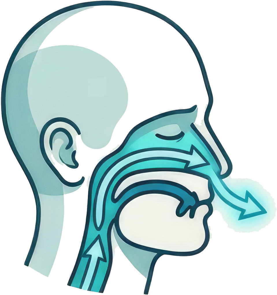 Airway