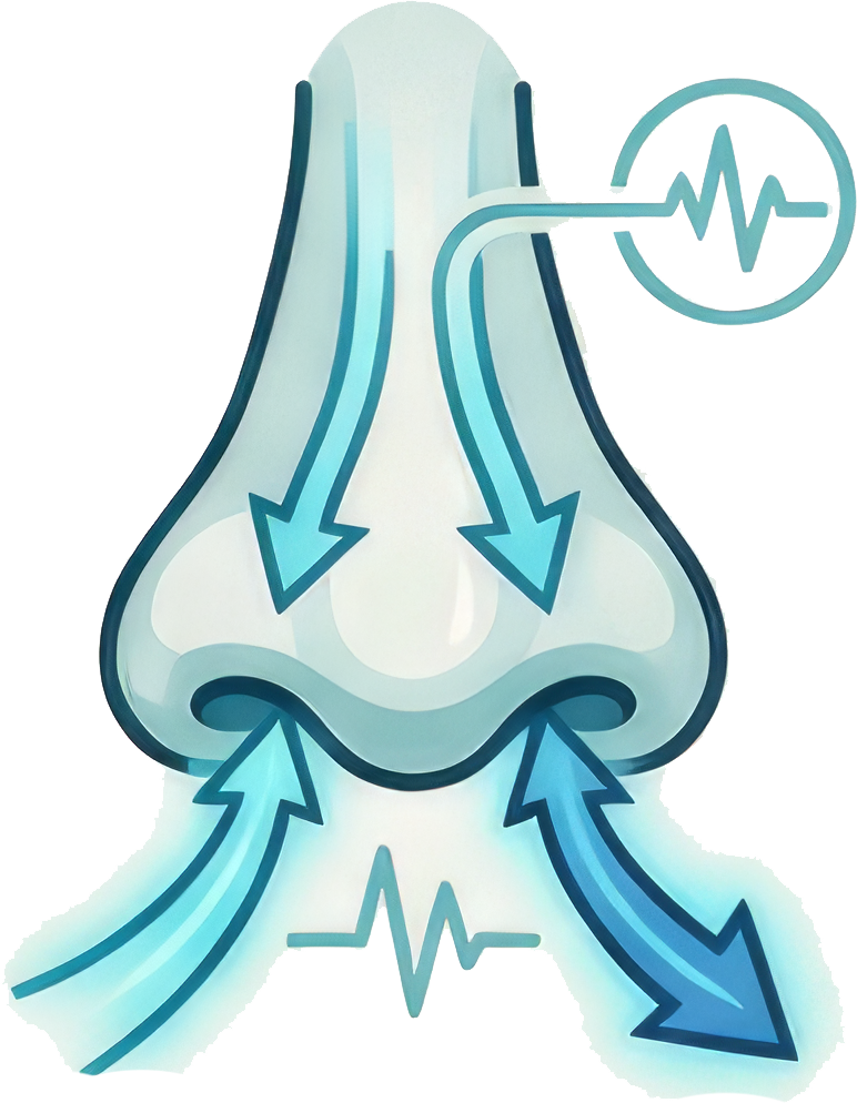 Airway